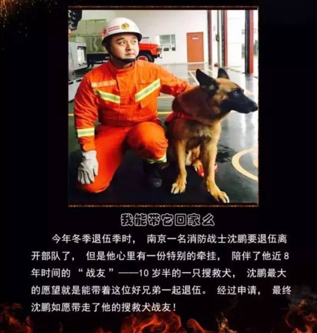 浴火重生的逆行者，肌肉越大責任越大，這才是真漢子——中國消防員(圖23)
