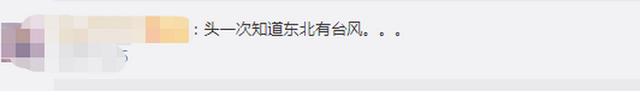 臺風“美莎克”致吉林玉米大面積倒伏，像棉被一樣鋪在地上，減產已成定局(圖2)