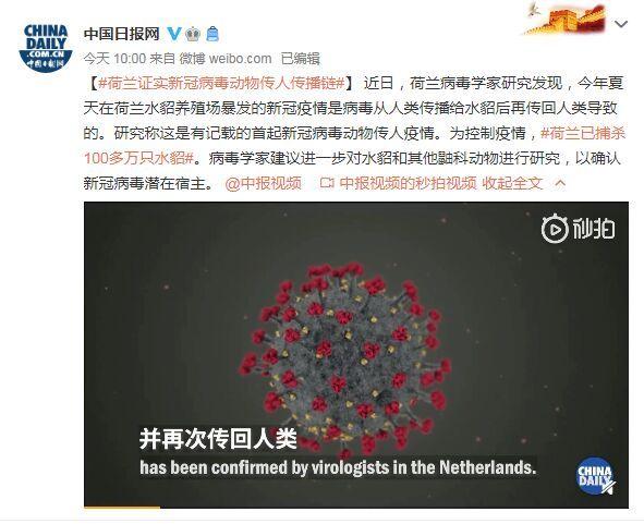 首起！荷蘭證實新冠病毒動物傳人疫情鏈條：病毒從人類傳播給水貂后再傳回人類
